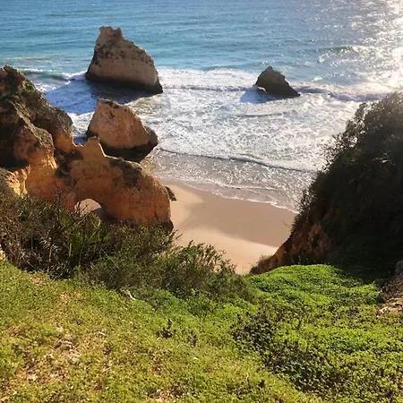 Charming House In With Shared Pool *