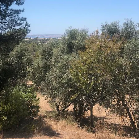 Charming House In With Shared Pool * Alvor