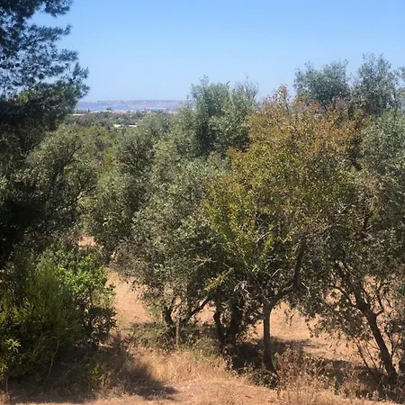 Charming House In With Shared Pool